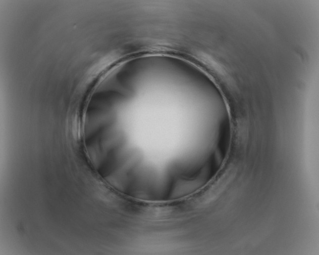 X0000113541269200910091236