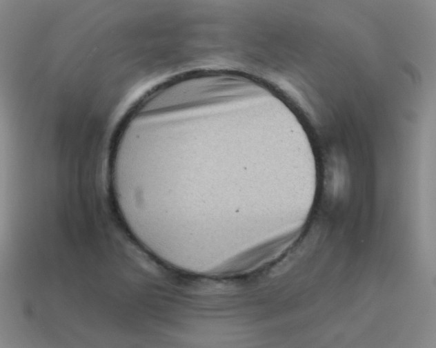 X0000113541270200910091236