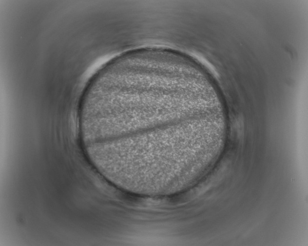 X0000113541271200910091236