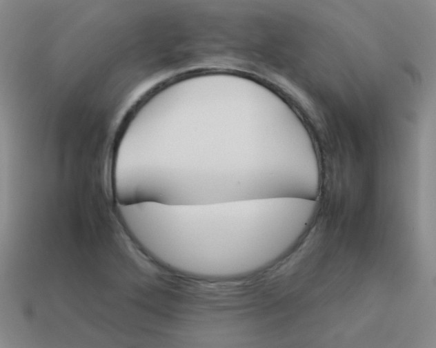 X0000113541272200910091236