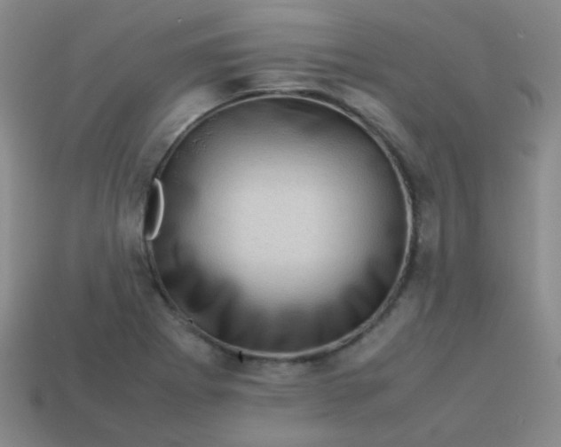 X0000113541273200910091236