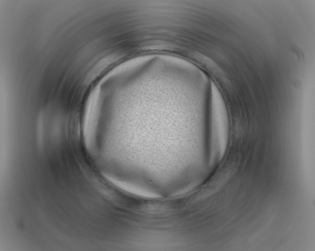 X0000113541274200910091236