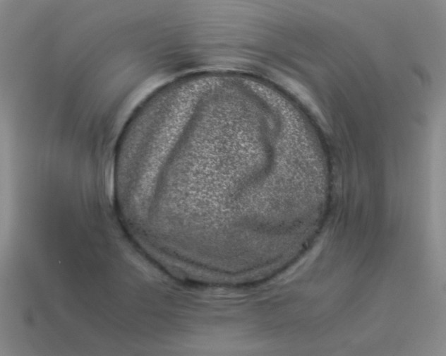 X0000113541275200910091236