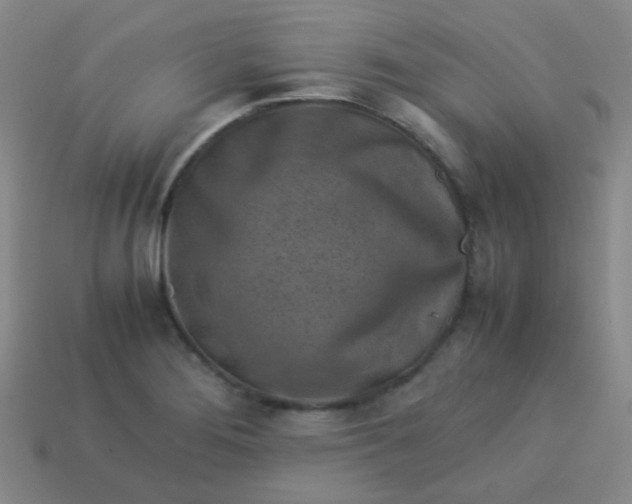 X0000113541276200910091236