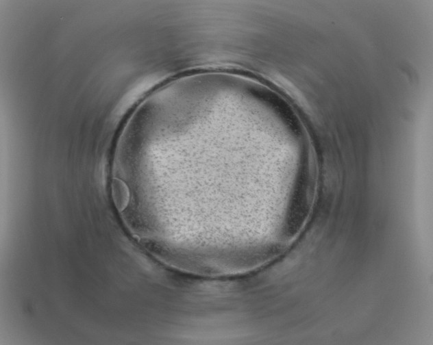 X0000113541277200910091236