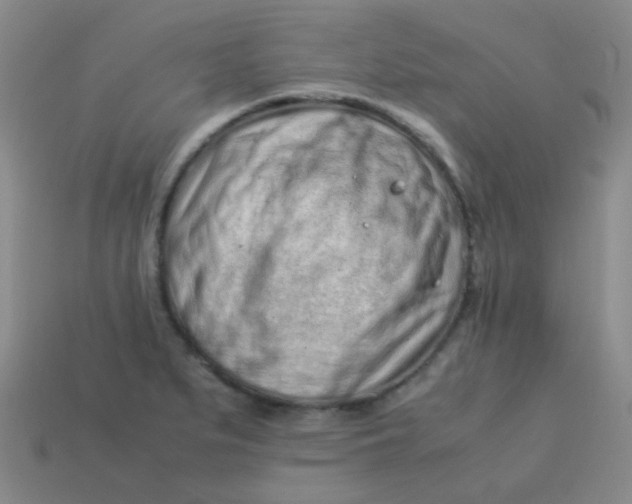 X0000113541279200910091236