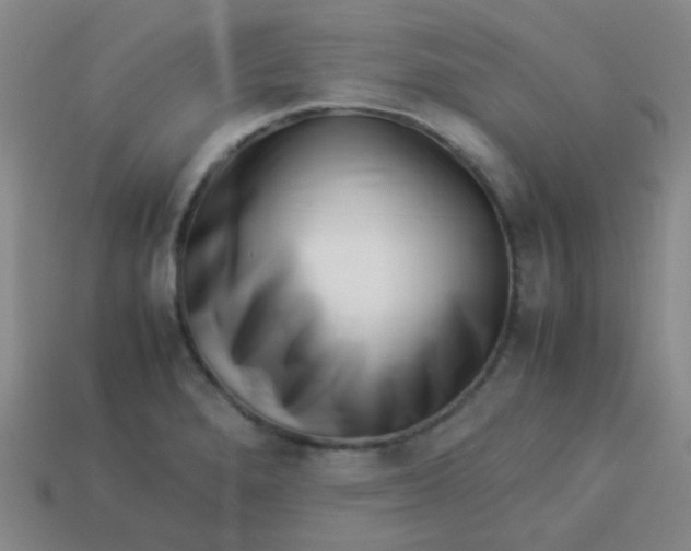 X0000113541280200910091236