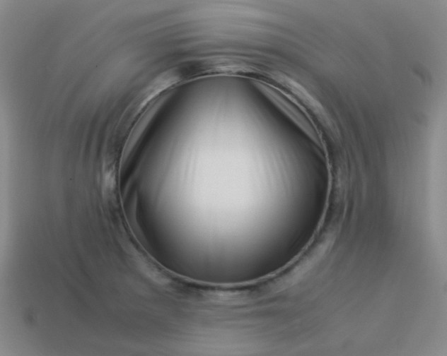 X0000113541281200910091236