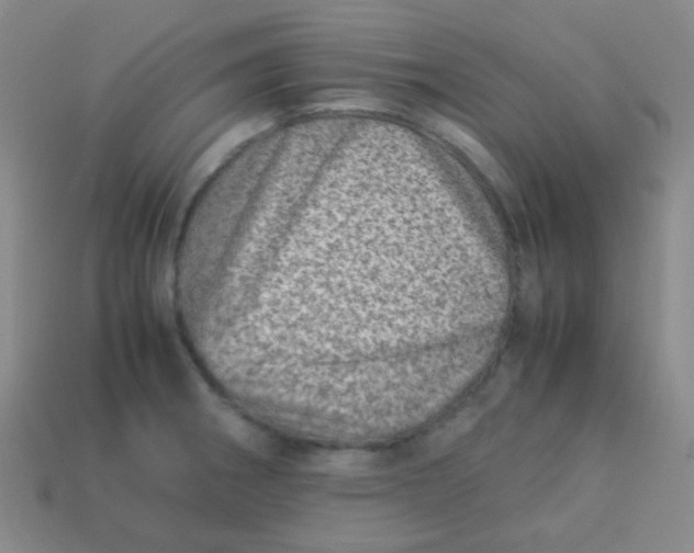 X0000113541282200910091236