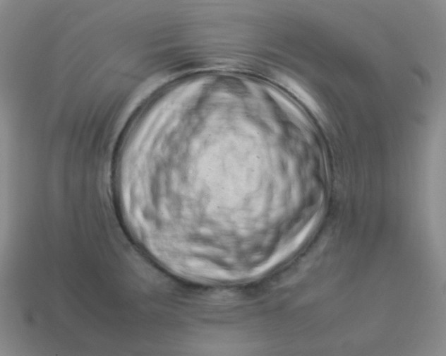 X0000113541283200910091235