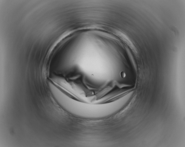 X0000113541284200910091235