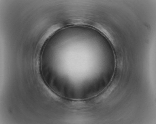 X0000113541285200910091235