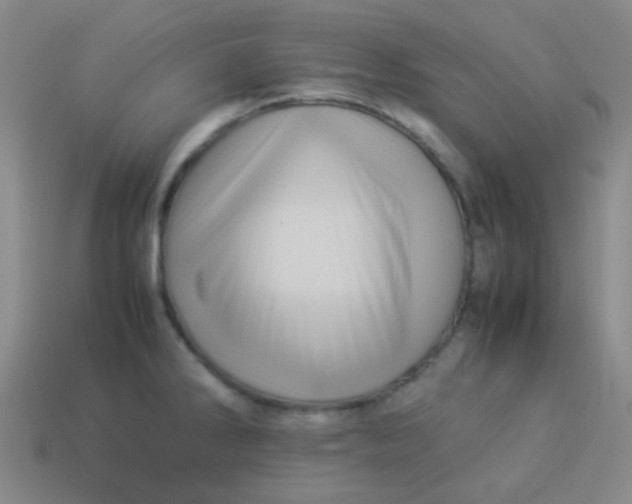 X0000113541286200910091235