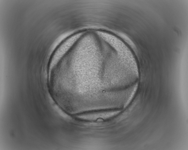 X0000113541287200910091235