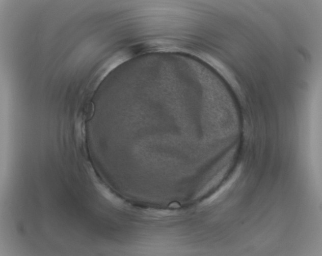 X0000113541289200910091235