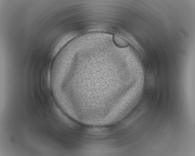 X0000113541290200910091235