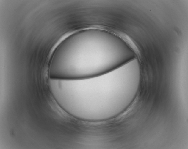 X0000113541292200910091235