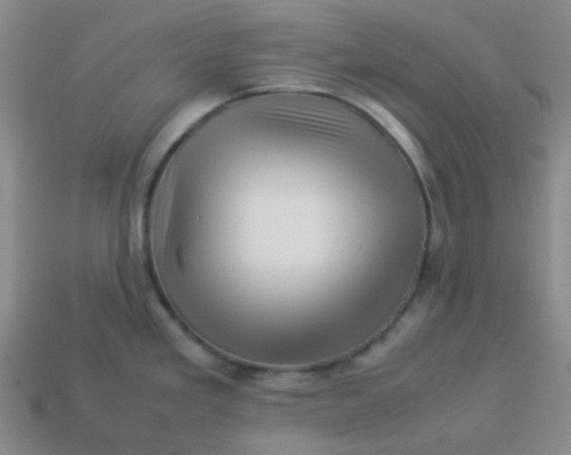 X0000113541293200910091235