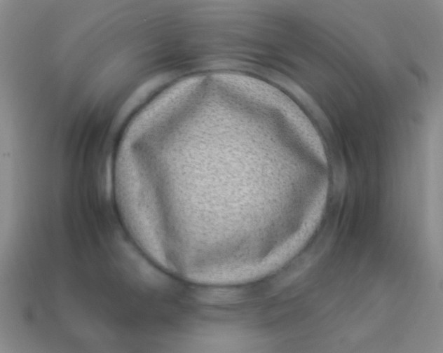 X0000113541294200910091235