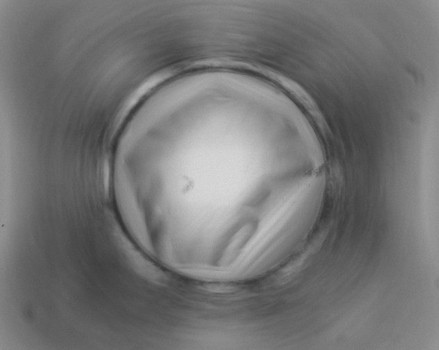 X0000113541295200910091235