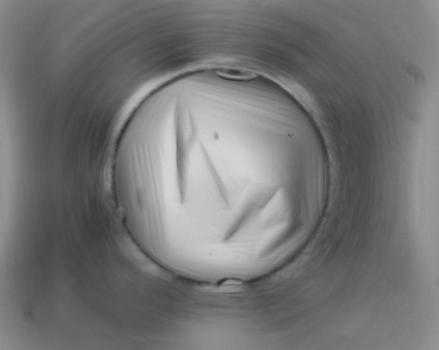 X0000113541296200910091235