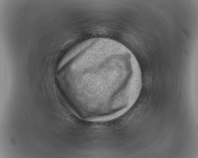 X0000113541297200910091235