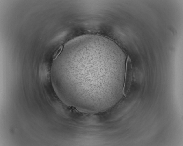 X0000113541298200910091235