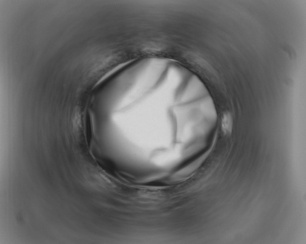 X0000113541299200910091235