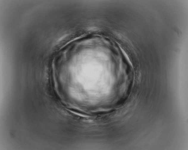 X0000113541301200910091235