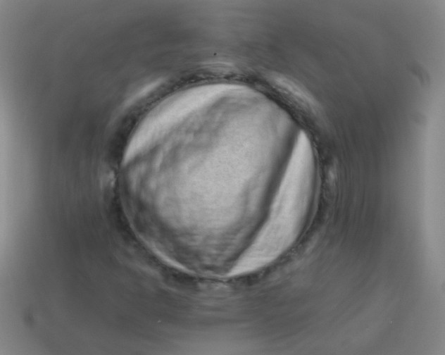 X0000113541302200910091235