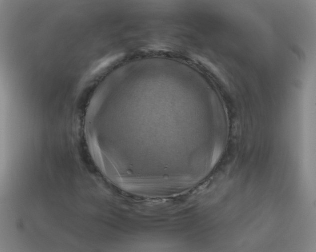 X0000113541303200910091235