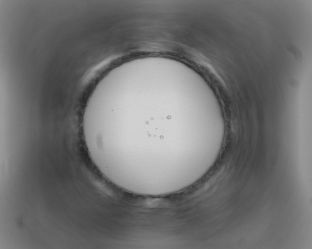 X0000113541304200910091235