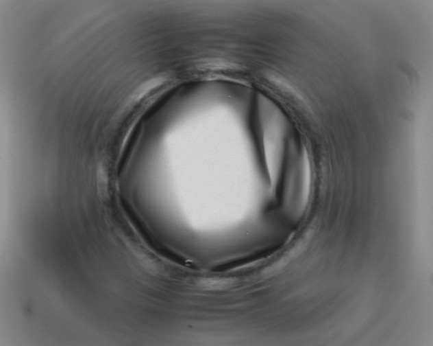 X0000113541305200910091235