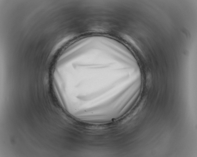 X0000113541307200910091235