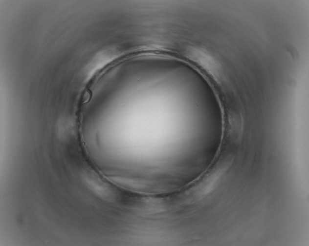 X0000113541308200910091235