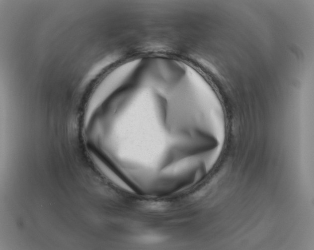 X0000113541309200910091235