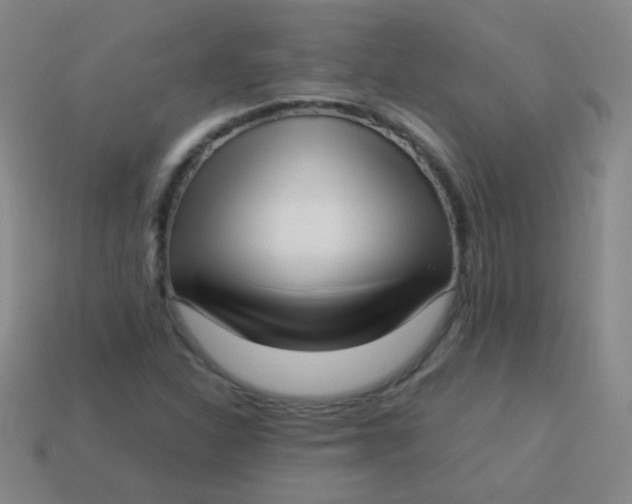 X0000113541310200910091235