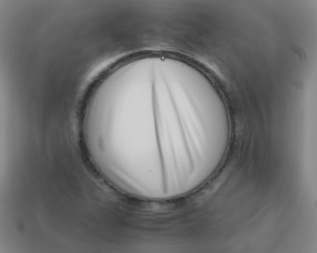 X0000113541311200910091235