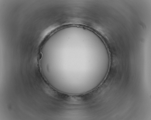 X0000113541312200910091235