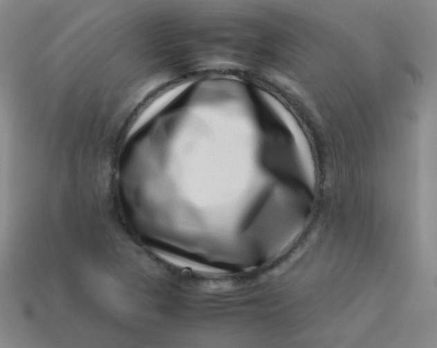 X0000113541313200910091235