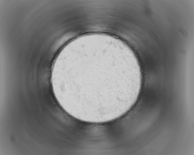 X0000113541314200910091235