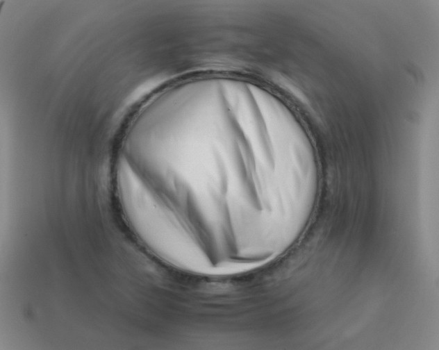 X0000113541315200910091235