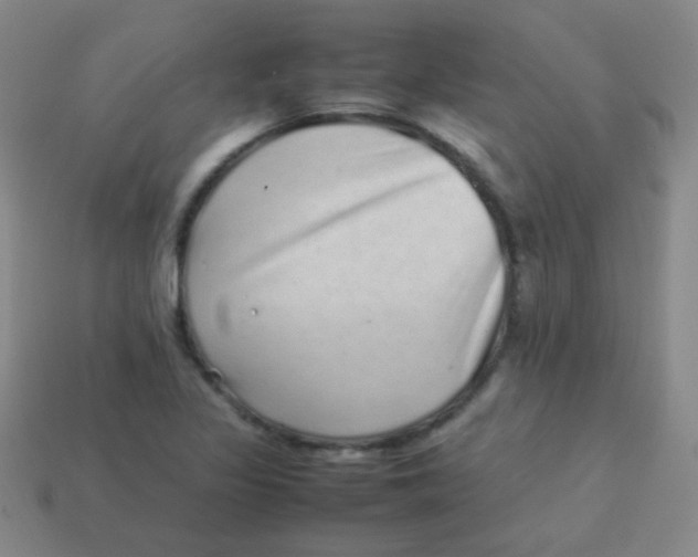 X0000113541317200910091235