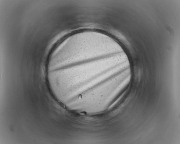 X0000113541318200910091235