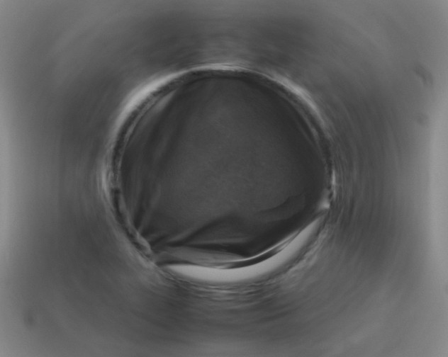 X0000113541319200910091235