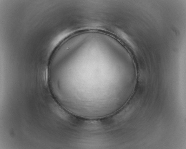 X0000113541320200910091235