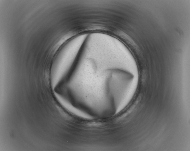 X0000113541321200910091235