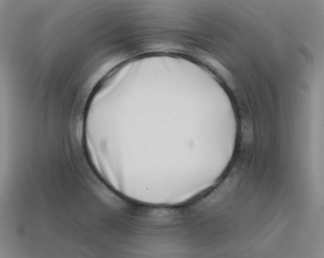 X0000113541322200910091235