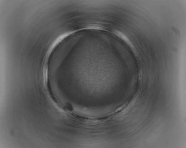 X0000113541323200910091235