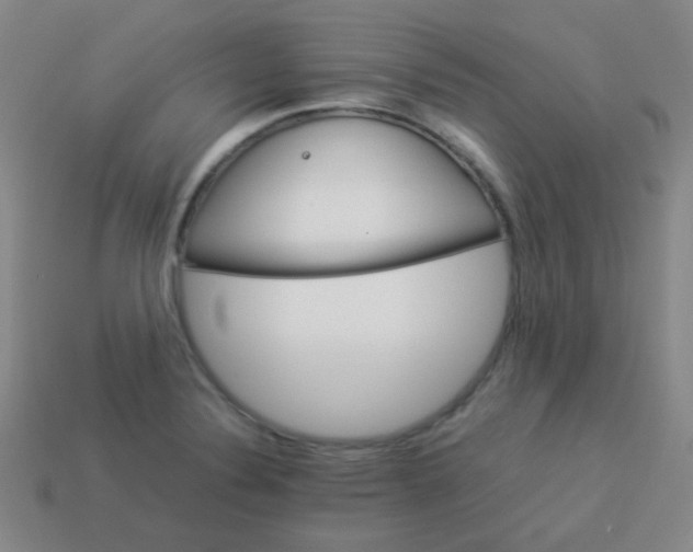 X0000113541324200910091235